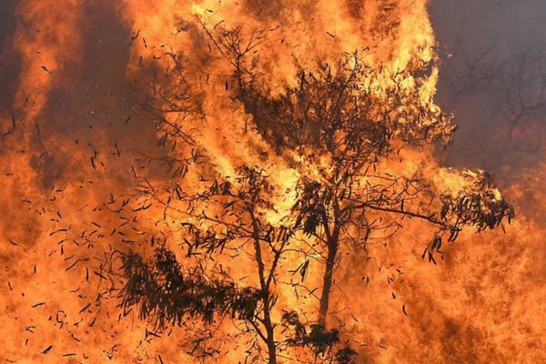 (Photo courtesy of Courtesy of Spectrum News)
