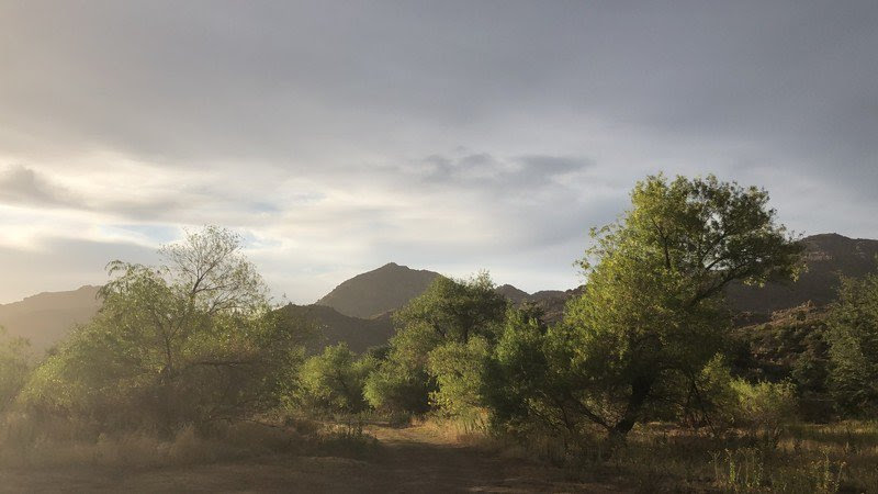Site of proposed Resolution Copper mine, Oak Flat, Ariz. (Photo/Russ McSpadden, Center for Biological Diversity)