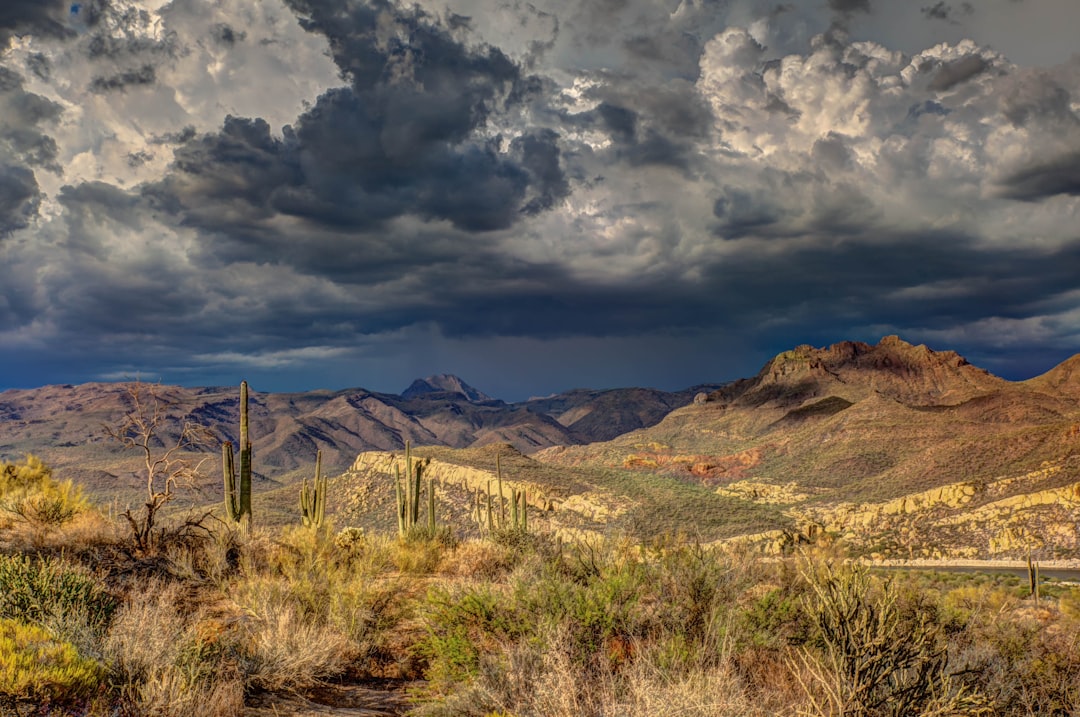 Oak Flat (Photo/Robert Murray on Unsplash)