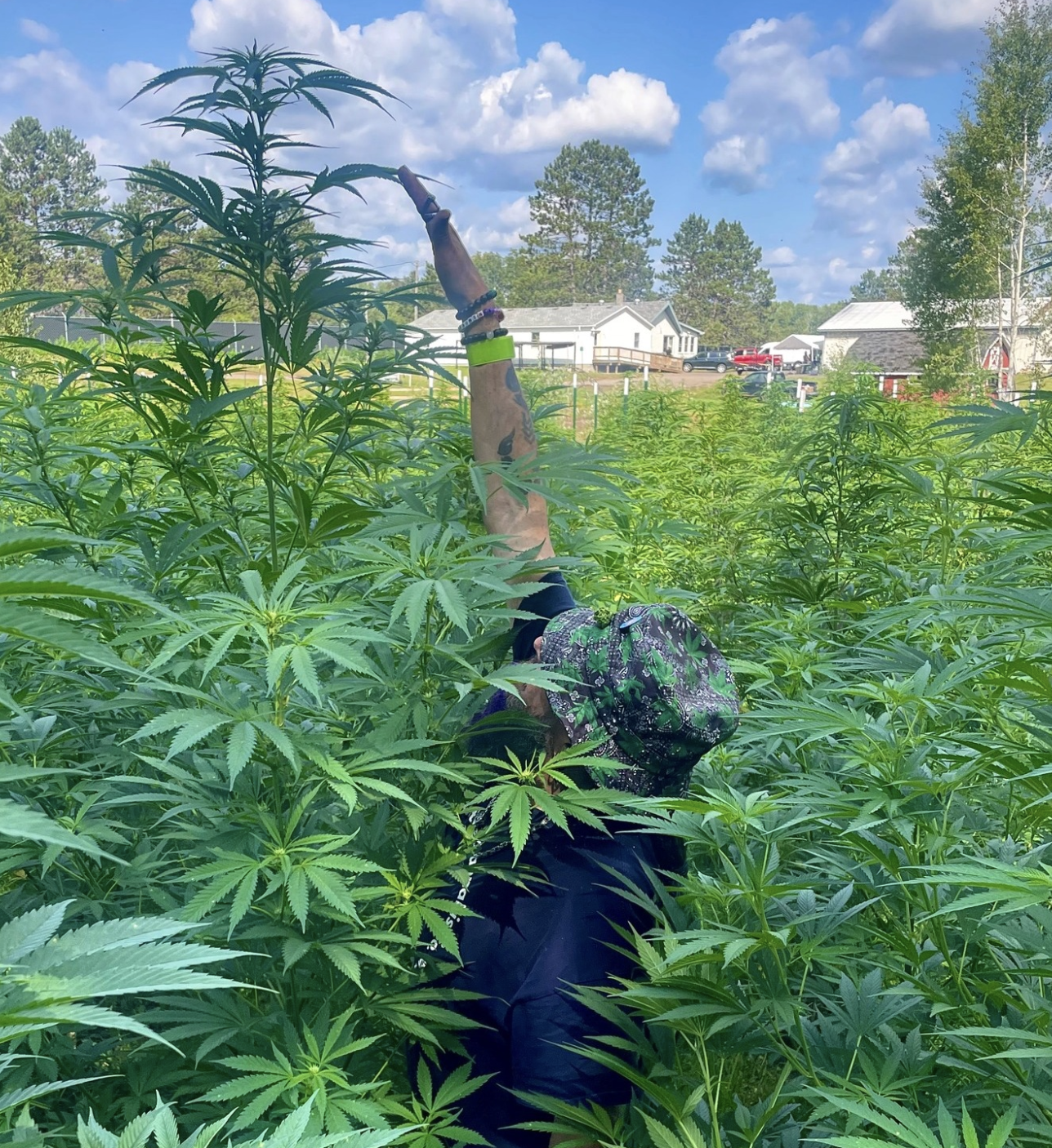 Photo on the ANANG Native Cannabis Co. Instagram page. (Photo/Instagram)