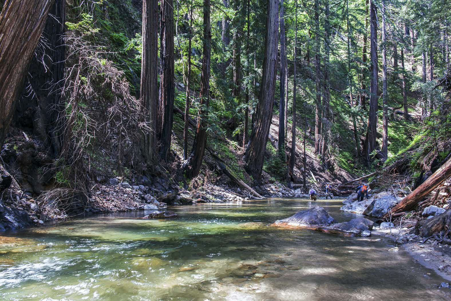 Little Sur River in Big Sur on the coast of California. Photo by Doug Steakley via Western Rivers Conservancy.