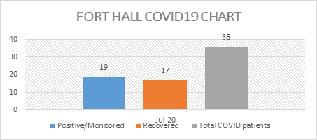 Fort Hall COVID10 Chart July 15