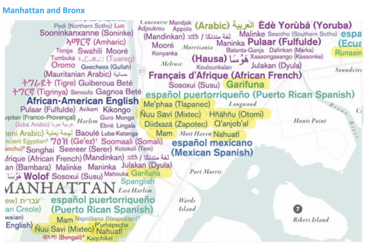 Screenshot of NYC Dept. of Health Report "Health of Indigenous Peoples of the Americas Living in New York City" showing a map of the South Bronx, Harlem, and East Harlem: "Snapshot maps provided by the Endangered Language Alliance. More information at: https://languagemap.nyc/. Yellow highlight indicates languages of American Indians/First Nations/Indigenous peoples of the Americas spoken in NYC. These represent languages that have survived 529 years of colonization and forced assimilation."