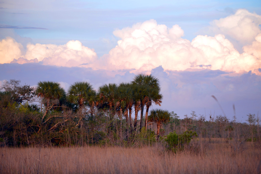 seminole tribe